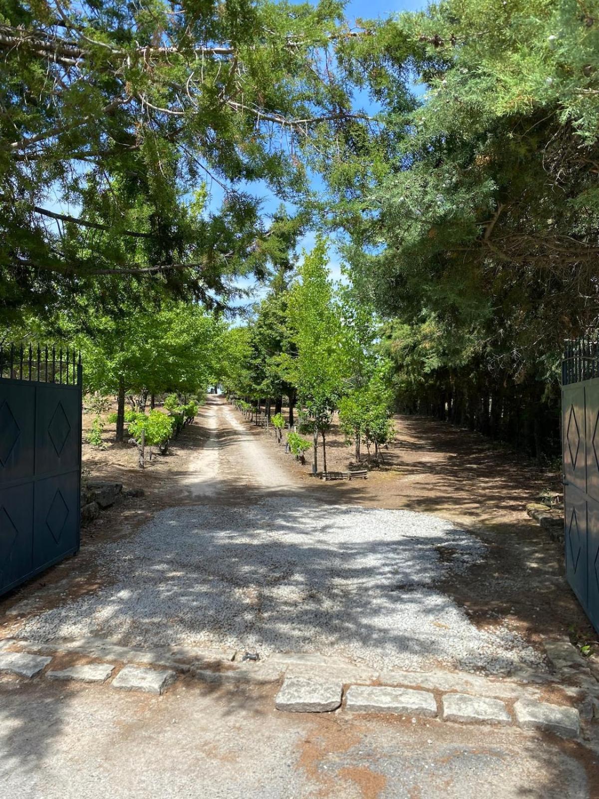 فيلا Casa Do Campo - Castelo Branco كاستيلو برانكو المظهر الخارجي الصورة