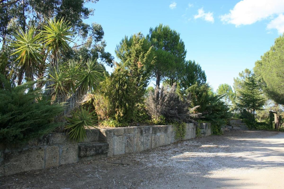 فيلا Casa Do Campo - Castelo Branco كاستيلو برانكو المظهر الخارجي الصورة